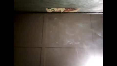 Warwick online show from 12/09/24, 08:55