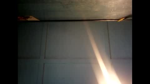 Warwick online show from 12/09/24, 11:24