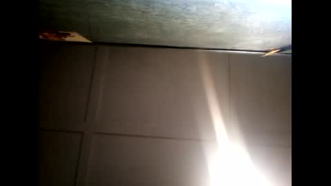 Warwick online show from 12/10/24, 07:37