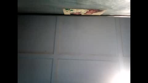 Warwick online show from 12/11/24, 07:31