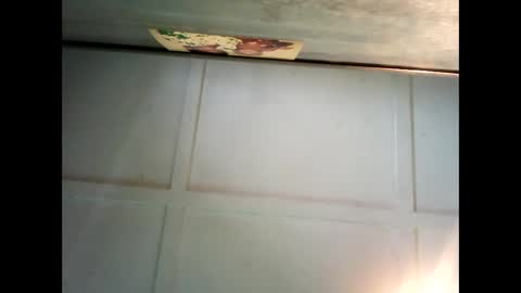 Warwick online show from 12/12/24, 01:10