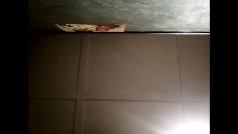 Warwick online show from 12/12/24, 11:18