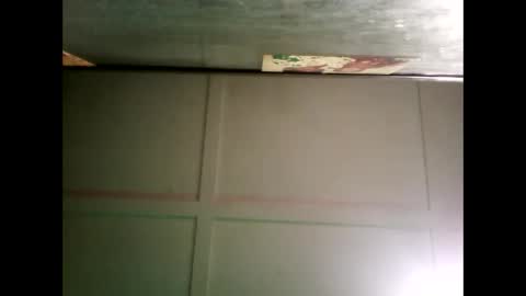 Warwick online show from 12/16/24, 08:31