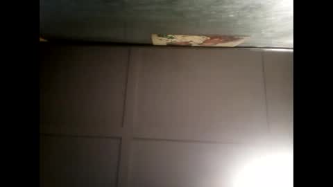 Warwick online show from 12/17/24, 08:23