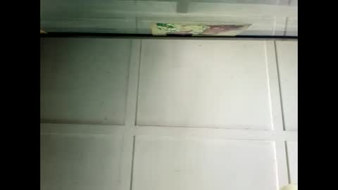 Warwick online show from 12/19/24, 02:56