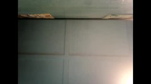 Warwick online show from 12/19/24, 06:12