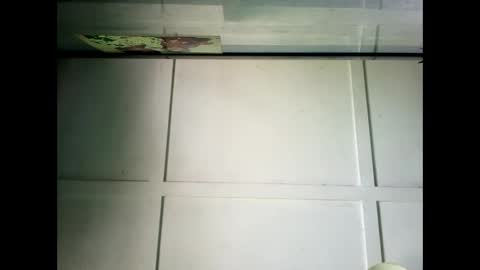 Warwick online show from 12/23/24, 02:24