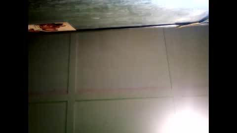 Warwick online show from 12/24/24, 08:55