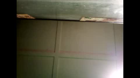 Warwick online show from 12/24/24, 12:00