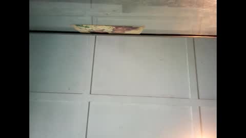 Warwick online show from 12/26/24, 12:03