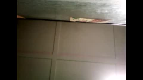 Warwick online show from 12/26/24, 09:01