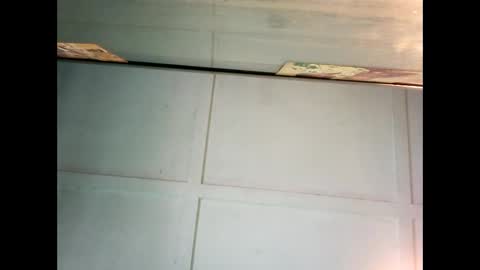 Warwick online show from 12/27/24, 11:42