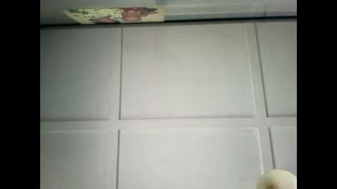 Warwick online show from 12/29/24, 02:38