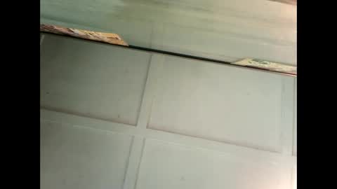 Warwick online show from 01/04/25, 04:01