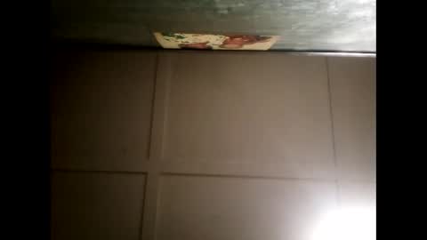 Warwick online show from 01/05/25, 10:53