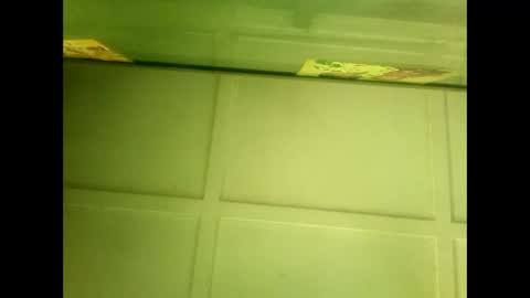 Warwick online show from 01/07/25, 05:43