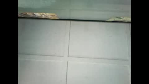 Warwick online show from 01/09/25, 10:09