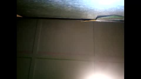 Warwick online show from 01/11/25, 09:47