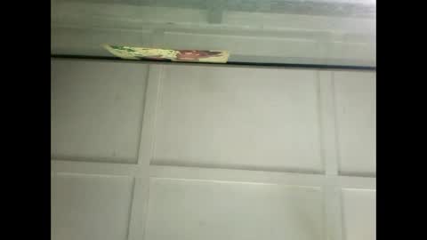 Warwick online show from 01/14/25, 06:24