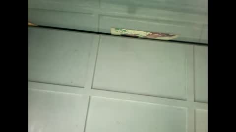 Warwick online show from 01/18/25, 11:55