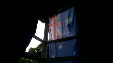 Warwick online show from 01/20/25, 08:41