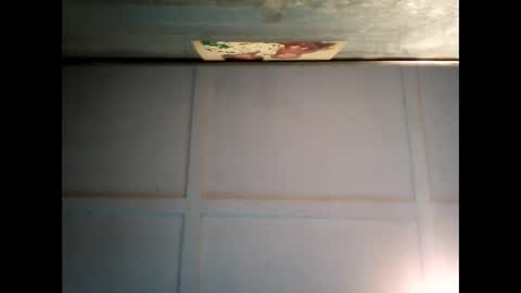 Warwick online show from 01/28/25, 07:53