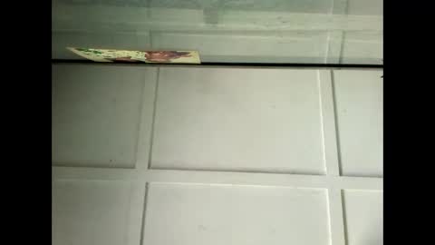 Warwick online show from 01/29/25, 04:05