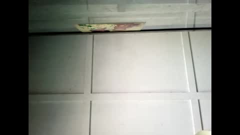 Warwick online show from 01/30/25, 02:38