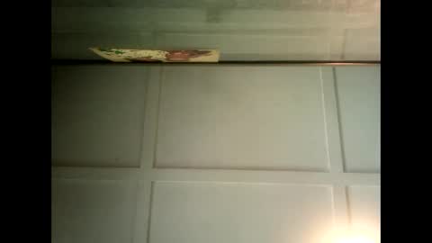 Warwick online show from 01/31/25, 04:03