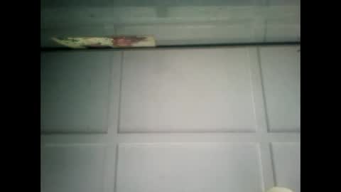 Warwick online show from 02/01/25, 07:15