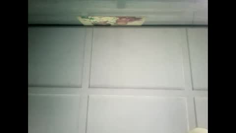 Warwick online show from 02/02/25, 10:39