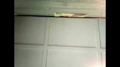 Warwick online show from 02/04/25, 04:37