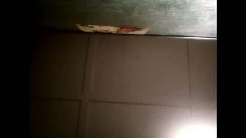 Warwick online show from 02/13/25, 08:48