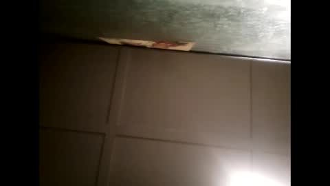 Warwick online show from 02/16/25, 10:43