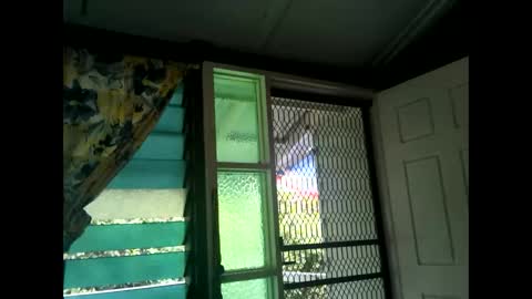 Warwick online show from 02/17/25, 03:25