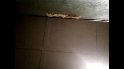 Warwick online show from 02/20/25, 11:20