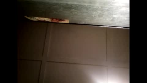 Warwick online show from 02/21/25, 11:01