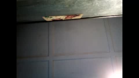 Warwick online show from 02/22/25, 07:56