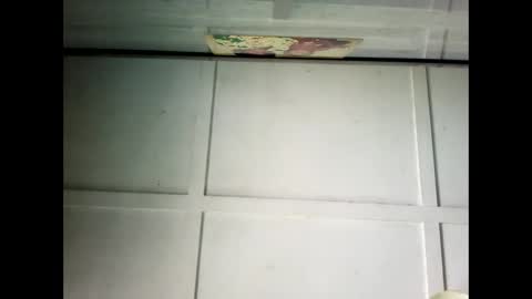 Warwick online show from 02/24/25, 01:02