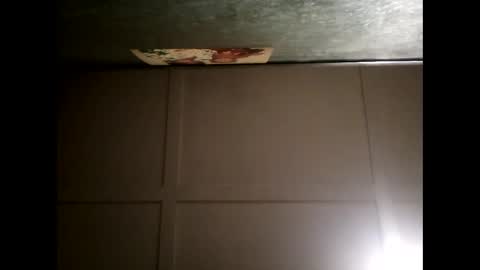 Warwick online show from 02/28/25, 01:03