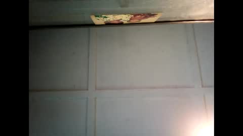 Warwick online show from 03/03/25, 06:37