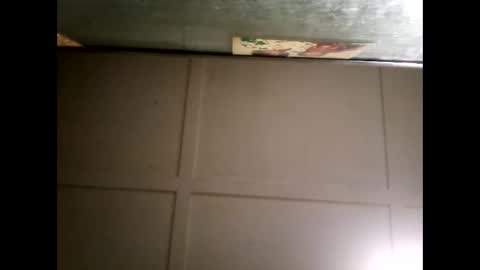 Warwick online show from 03/03/25, 11:22