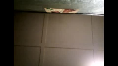 Warwick online show from 03/04/25, 10:35