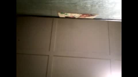 Warwick online show from 03/05/25, 11:49