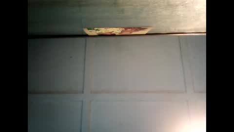 Warwick online show from 03/10/25, 01:34