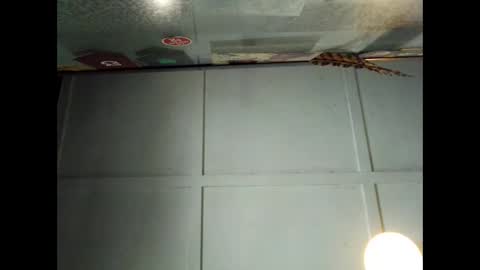 Warwick online show from 09/29/25, 01:00