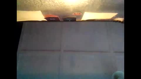 Warwick online show from 10/05/25, 07:28