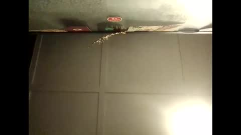 Warwick online show from 10/08/25, 08:12