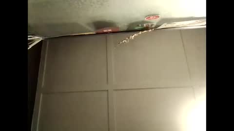 Warwick online show from 10/10/25, 08:46