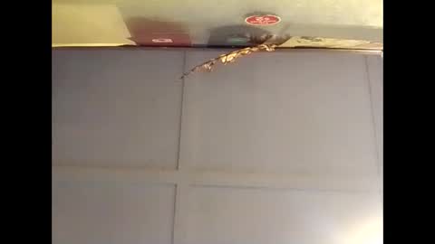 Warwick online show from 10/16/25, 07:09